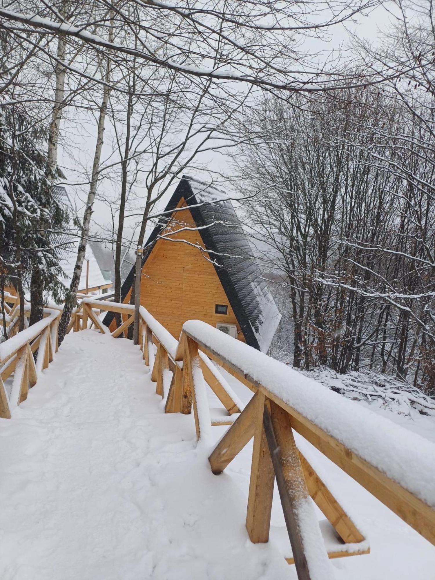 Cabana 365 Braşov Exterior foto